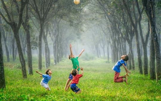 Kids playing in grass.