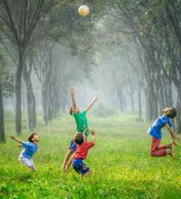 Kids playing in grass.